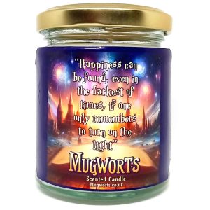 Dumbledore quote Candle