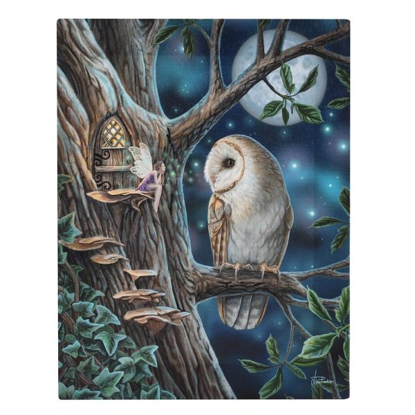 Fairy Tale Owl Canvas