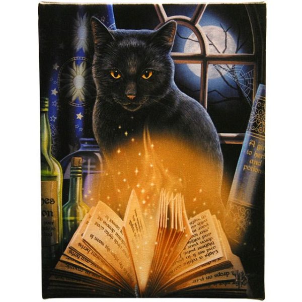 Bewitched Black Cat