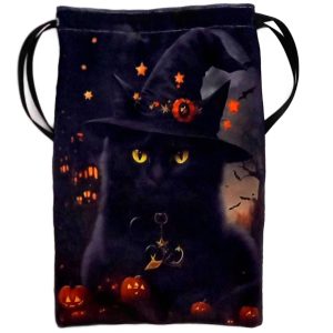 This Witchy Black Cat & Halloween Pumpkins Tarot Card Bag