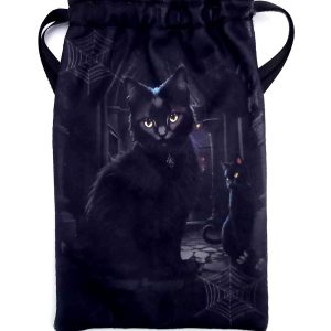 Gothic Magical Black Cats Tarot Card Bag